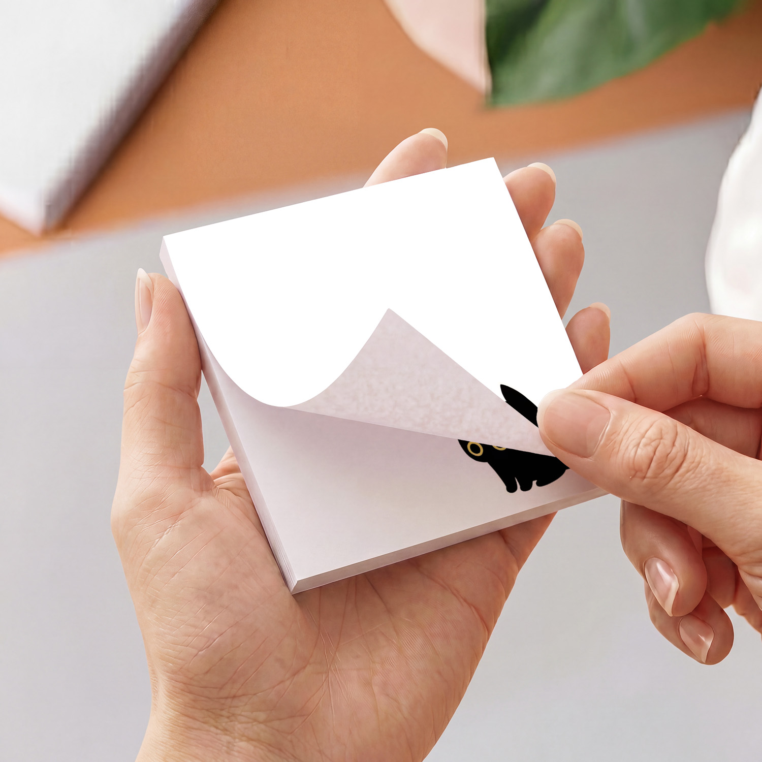 2개입 귀여운 검은 고양이 스티커 메모지, 카와이 동물 - Sticky Note Dispenser 리뷰 및 가격